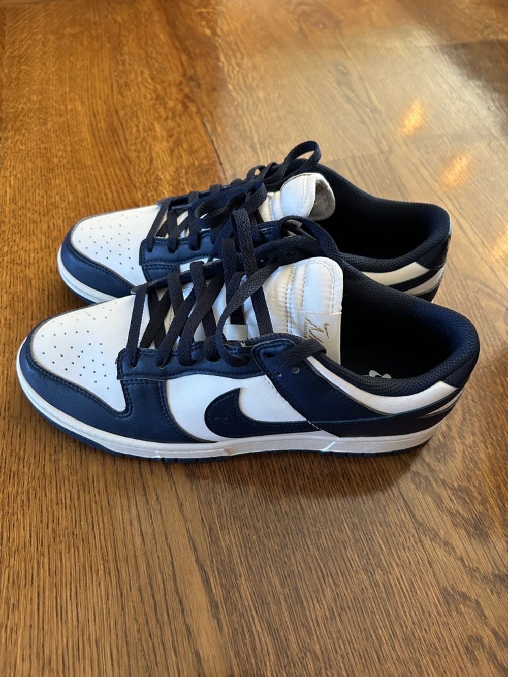 Nike Women’s Next Nature Dunk Low — never worn!